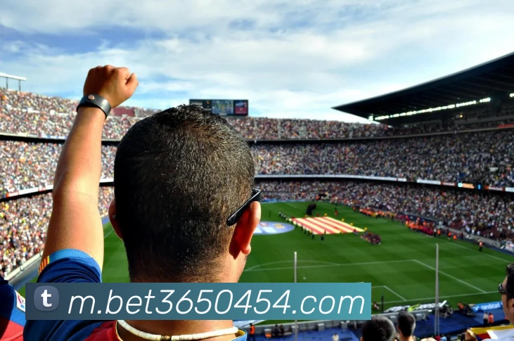 bet365中国官网发展历程